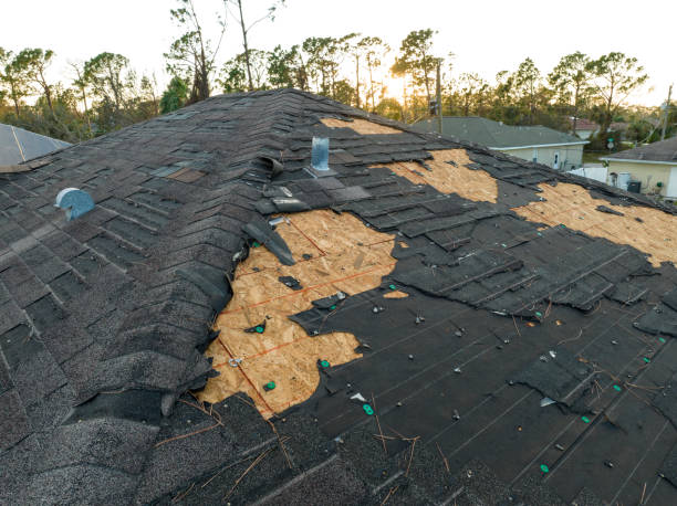 Best Roof Ventilation Installation  in Palermo, NJ